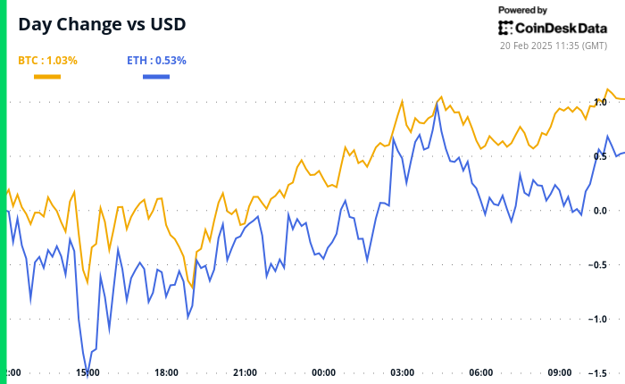 BTC traders separate on a constant foster interest rate schedule