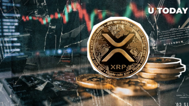 XRP raises the benefit from the wealth management team by billions of dollars