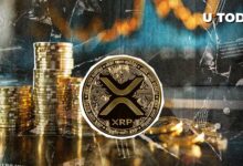 XRP shorts that are deleted in the middle of sudden price