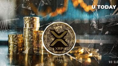 XRP shorts that are deleted in the middle of sudden price