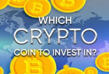 What crypt do the coin invest? Discover your next Big Cripto winner today - DL News