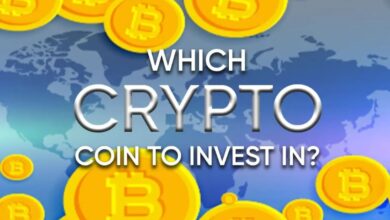 What crypt do the coin invest? Discover your next Big Cripto winner today - DL News