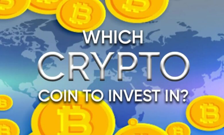 What crypt do the coin invest? Discover your next Big Cripto winner today - DL News