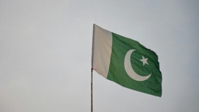 Pakistan wants to set crypto advice to oversee the policy: report