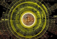 A deeper diving in the Bitcoin Power Law model