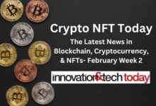 Cripto NFT today: February 2