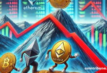 Altcoins will not reach its peaks for several months