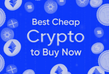 Best cheap encryption for purchase now before you start fomo and prices rise - DL news