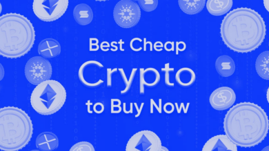 Best cheap encryption for purchase now before you start fomo and prices rise - DL news