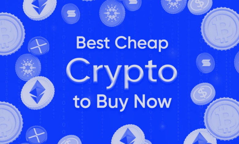 Best cheap encryption for purchase now before you start fomo and prices rise - DL news