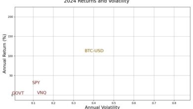 Bitcoin 2024 performance as assets category