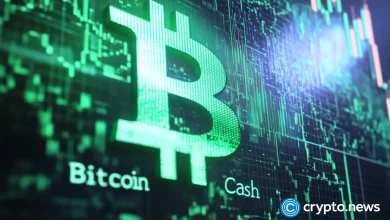 Bitcoin prediction price of money Is Bitcoin Cash a good investment?