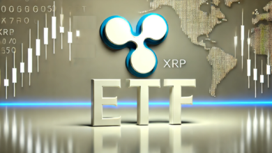 Ripple CEO points out 19B-4 Briefs