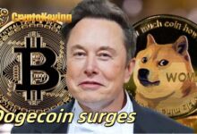 Dogecoin (DOGE) fans receive $ 20,800 a day through cloud mining