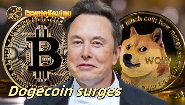 Dogecoin (DOGE) fans receive $ 20,800 a day through cloud mining