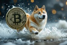 Doug take off? New technologies pay the future of Dogecoin!