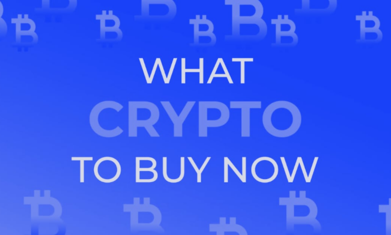 Which Cripto buy now now if you want to catch the next millionare manufacturer of coins - DL News