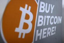 Hot inflation report cools the price of bitcoin, but not for a long time