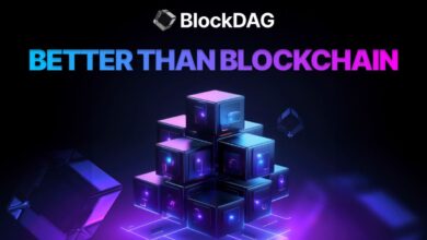 How to make cabinets with the Miner Blockdag TG worker - the best negative opportunity