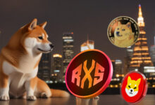 It's time to look beyond Dogecoin and Shiba Inu? This encryption will strike them and turn $ 455 to 26,455 dollars by the end of the year