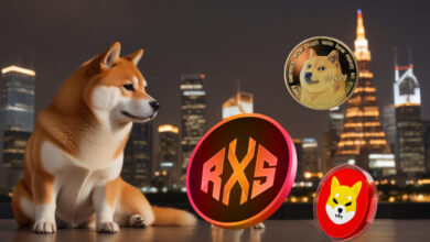 It's time to look beyond Dogecoin and Shiba Inu? This encryption will strike them and turn $ 455 to 26,455 dollars by the end of the year