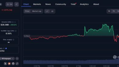 Market effect and future effects