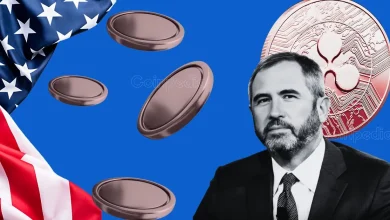 Ripple CEO Brad Garlinghouse in a shortlist for us Advisory Chamber for US Cripto