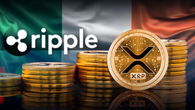 Ripple vs. SEC Q. CSRP Balkan price on the latest achievements