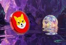 Shiba Inu Price Price: What happens with SHIB in 2025?