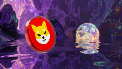 Shiba Inu Price Price: What happens with SHIB in 2025?