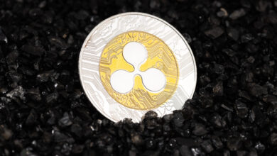 The Ripple Q4 2024 report shows remarkable growth, but Hong Kong's approval causes uncertainty in XRP