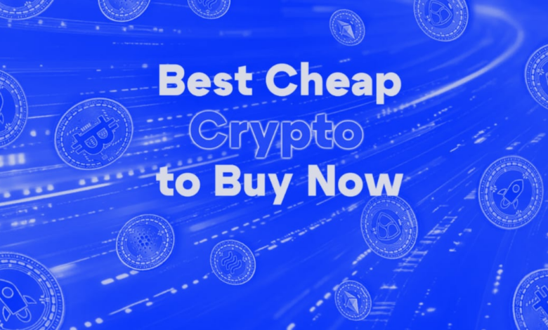 The best cheap encryption for purchase now before sending Crypto Bull Run is the following high prices - DL news