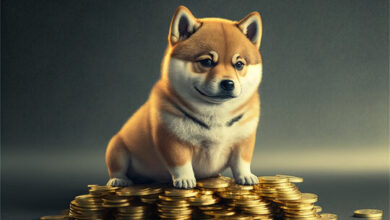 The encryption analyst says the price of Dogecoin is ready for the gathering about $ 0.5, but it is not all good news