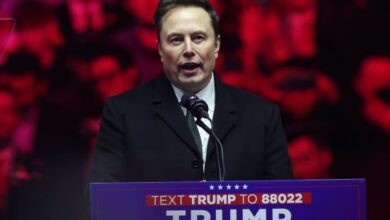 "This needs to stop now" - Elon Musk confirms the American Treasury plan