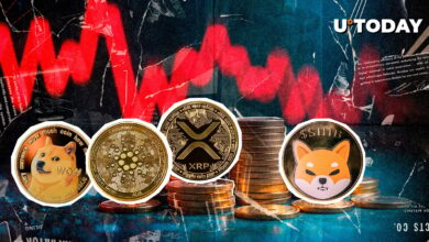 XRP, ADA, SHIB, Doge in Red, where the encryption qualifiers topped $ 556 million