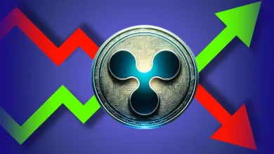 XRP Pricing for 13. February