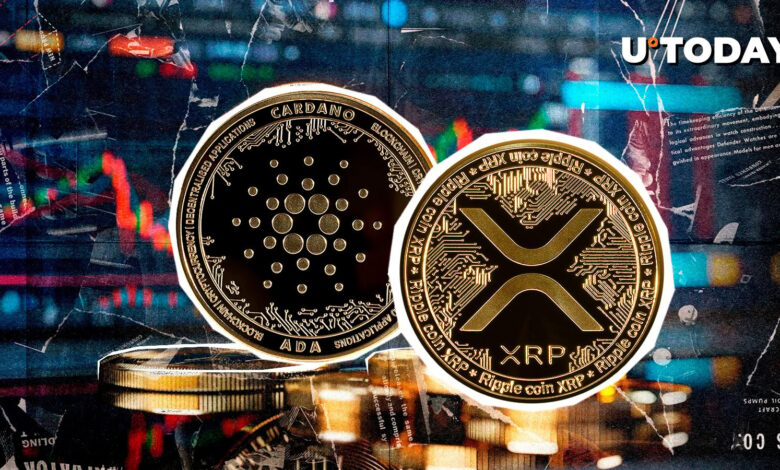 XRP and Cardano (ADA) believed to treat Crypto Market