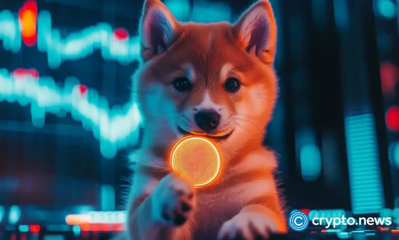 Could this crypto with low drops could follow the path of the dog in the coming year?