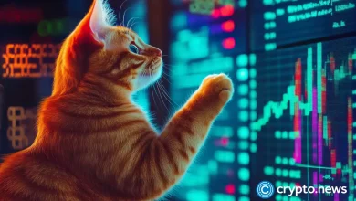 This new coin with thematic cats pump while the market is red: Popcat 2.0?