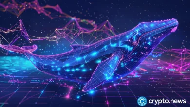 XRP, Doge whales adjust the strategy because institutional money points in 1Fuel