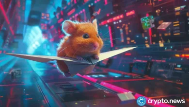 The price HMSTR could increase 260% after launching hamster Kombat L2