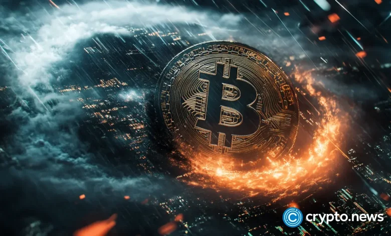 Eric Semler calls for zoom to adopt the Bitcoin Cashier Strategy