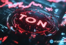 What's Toncoin? History Guide, Used and Future Trends