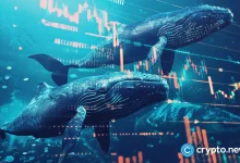 Whales leave TRs and Ada for this warm coin with 12,500% growth potential