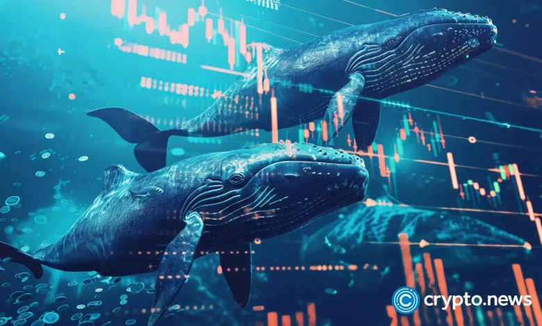 Whales leave TRs and Ada for this warm coin with 12,500% growth potential