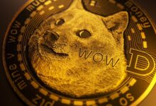 Why this ETF Issuer will not touch Dogecoin Adid Solana and XRP Fund plans