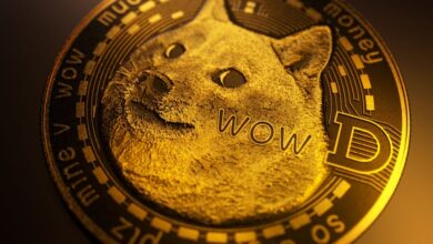 Why this ETF Issuer will not touch Dogecoin Adid Solana and XRP Fund plans