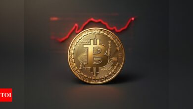 Bitcoin drops 25% of all high, slides below $ 80,000 amid Donald Trumps Tariff's concern