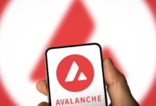 Avalanch represents a Visa card that unlocks the passage for the CRIPTO purchase