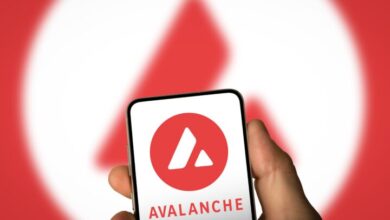 Avalanch represents a Visa card that unlocks the passage for the CRIPTO purchase